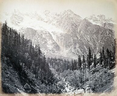 Wanga valley and glacier (Abies Webbiana) [Himachal Pradesh. Vallée de Wanga et glaciers], 1866
