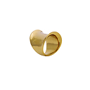 Ring of Susa - Gold-plated