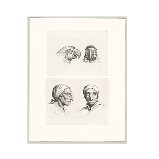 Engraving Two heads of parrots and two heads of men