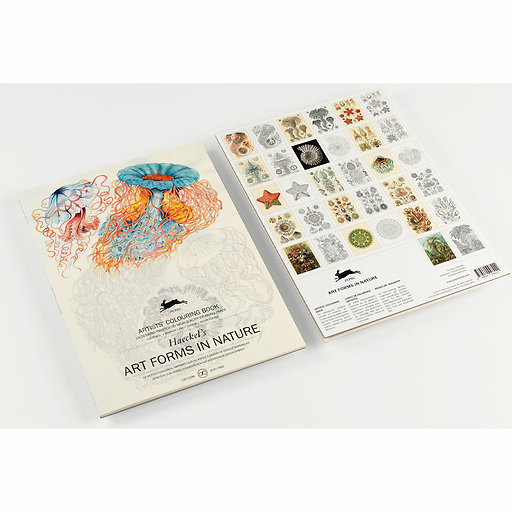Livret de coloriage pour enfants et adultes Art de la nature Haeckel - The Pepin Press