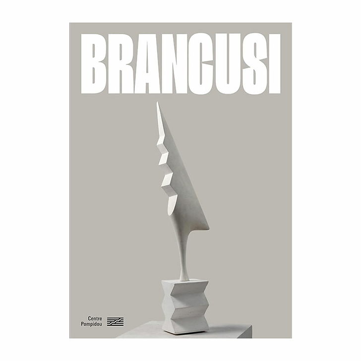 Brancusi - Catalogue d'exposition