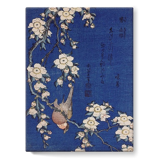 Bullfinch and weeping cherry-tree (stretched canvas)