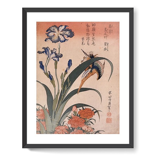 Kingfisher, carnation and iris (framed art prints)
