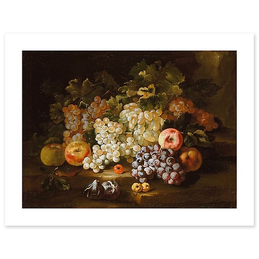 Still life with grapes and figs (art prints)