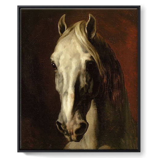The head of white horse (framed canvas)
