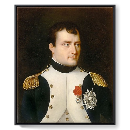 Napoléon Ier en uniforme de colonel des grenadiers de la garde à pieds (toiles encadrées)