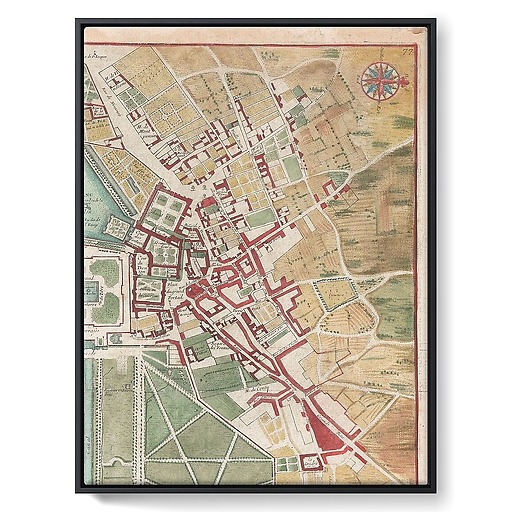 Plan d'ensemble de Fontainebleau (toiles encadrées)