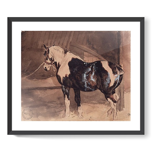 Piebald horse at rest in the stable (framed art prints)