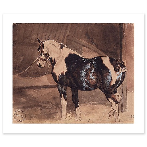 Piebald horse at rest in the stable (canvas without frame)