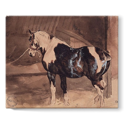 Piebald horse at rest in the stable (stretched canvas)