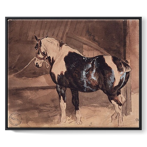 Piebald horse at rest in the stable (framed canvas)