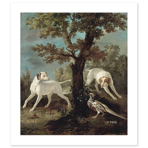 Perle et Ponne, chiennes de la meute de Louis XV (toiles sans cadre)