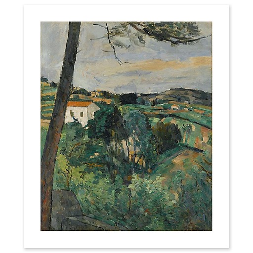 Pine tree at L'Estaque or Landscape with red roof (art prints)