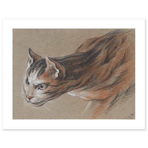 Cat projecting his head forward (art prints)