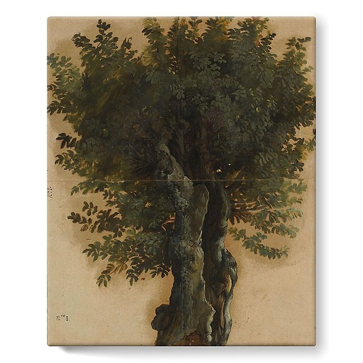 Trees with an open trunk (stretched canvas)