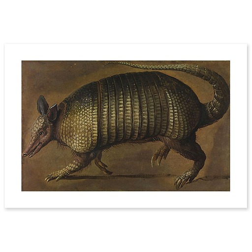 Walking armadillo (canvas without frame)