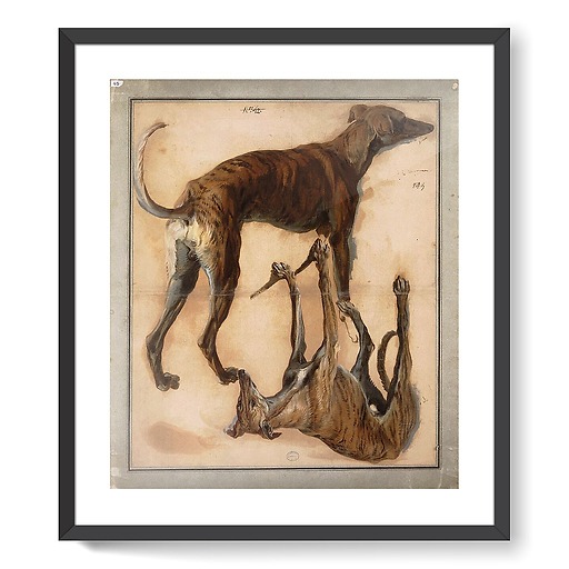 Two inverted studies of greyhounds (framed art prints)