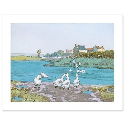 The goose pond (art prints)