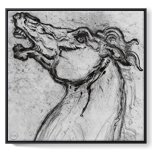 Horse head for Diomedes (framed canvas)