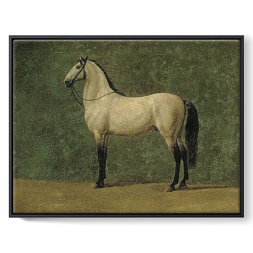 Napoleon 1st's horse "The Familiar" (framed canvas)