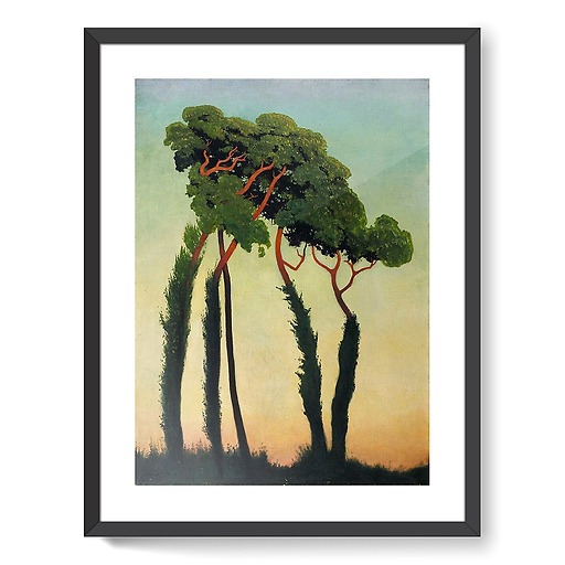 Sunshade pines (framed art prints)