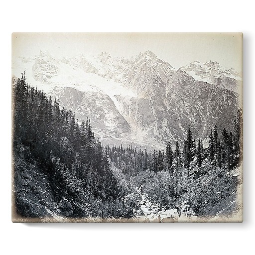 Wanga valley and glacier (Abies Webbiana) [Himachal Pradesh. Vallée de Wanga et glaciers], 1866 (toiles sur châssis)