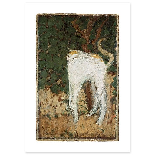 Le Chat blanc (détail) (toiles sans cadre)