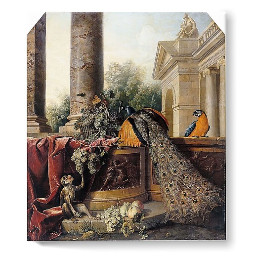 Paon, singe, fruits et bas-relief (stretched canvas)