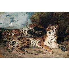 Study of two tigers, also known as Young Tiger playing with his mother