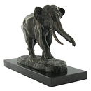 Eléphant courant