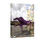 Dvd Veilhan Versailles