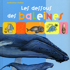 Les dessous des baleines