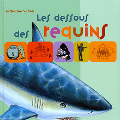 Les dessous des requins