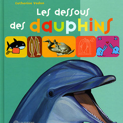 Les dessous des dauphins