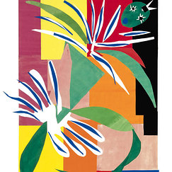 Poster Henri Matisse - Danseuse cr&eacute;ole