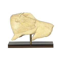 Bison se l&eacute;chant