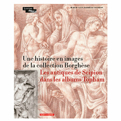 A story in pictures from the Borghese collection - The antiques of Scipio in the Topham albums