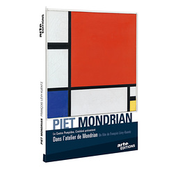 Dvd Piet Mondrian