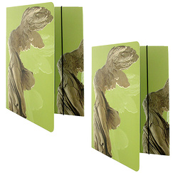 Lot de 2 chemises "La Victoire de Samothrace"
