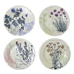 Coffret de 4 assiettes "Herbier du Roy"