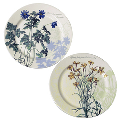 The King's Herbarium  - 2 Coasters