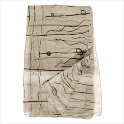 Scarf Brancusi "The Kiss"