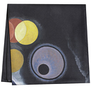 Kandinsky Scarf "Several Circles"