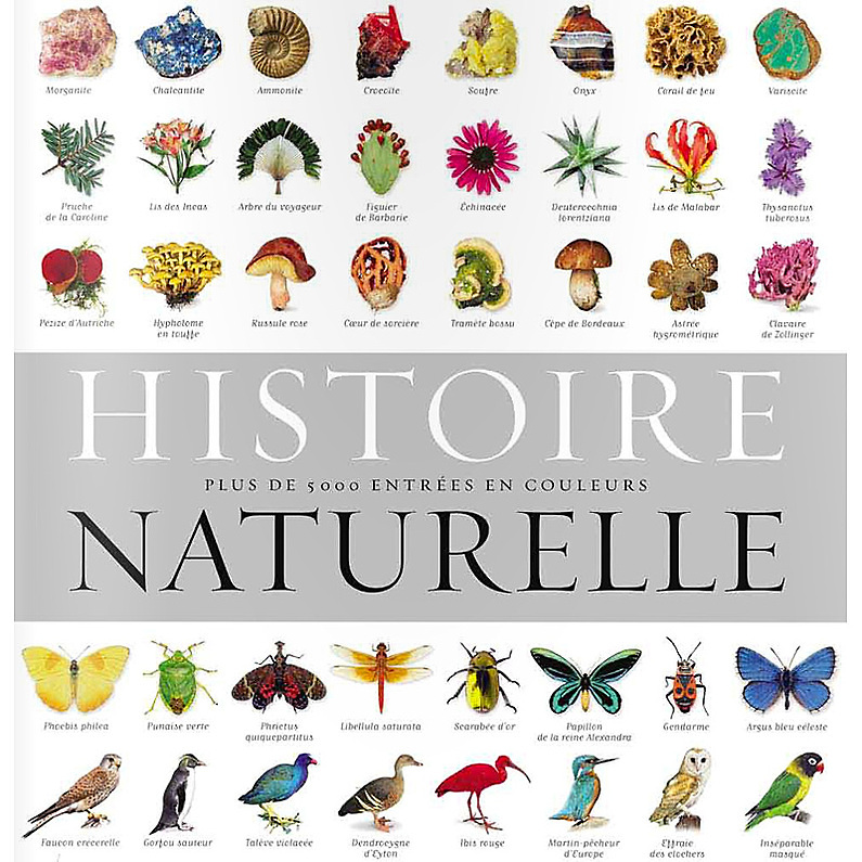 Histoire naturelle