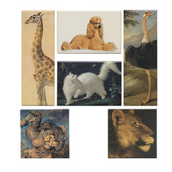 Set of 6 magnets "Animal beauty" exhibition