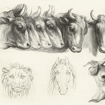 Engraving Heads of Oxen, Lion and Horse
