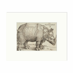 Reproduction sous Marie-Louise Albrecht Dürer - Le rhinocèros, 1515