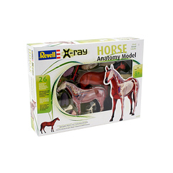 Jeu éducatif - X-Ray - Anatomie du cheval