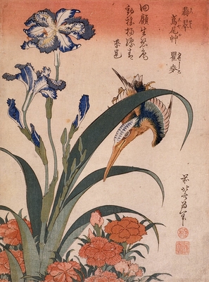 Kingfisher, carnation and iris