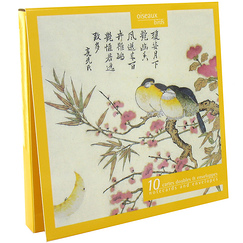 Pochette de cartes doubles Oiseaux